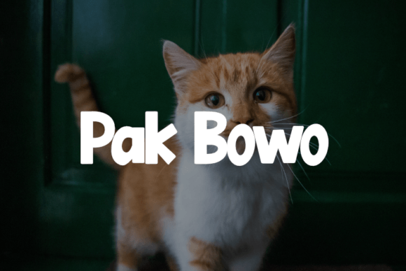 Pak Bowo: The Versatile Display Font for Editorial Design
