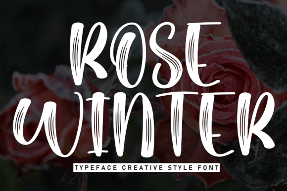 Rose Winter: A Stylish Display Brush Font for Creative Branding