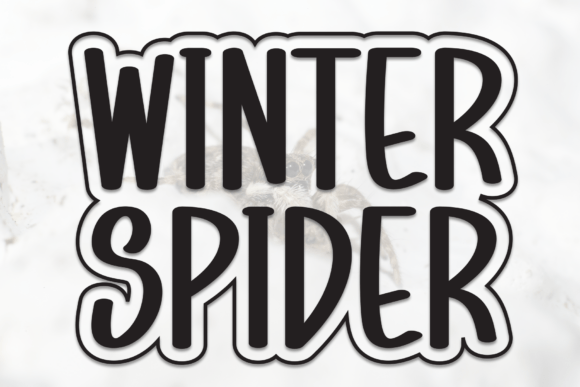 Winter Spider: A Handwritten Display Font for Modern Web Design